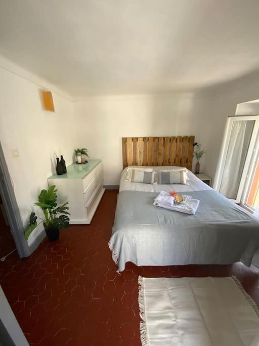 Appartement Typique Nicois En Plein Centre Ville Nice Eksteriør billede
